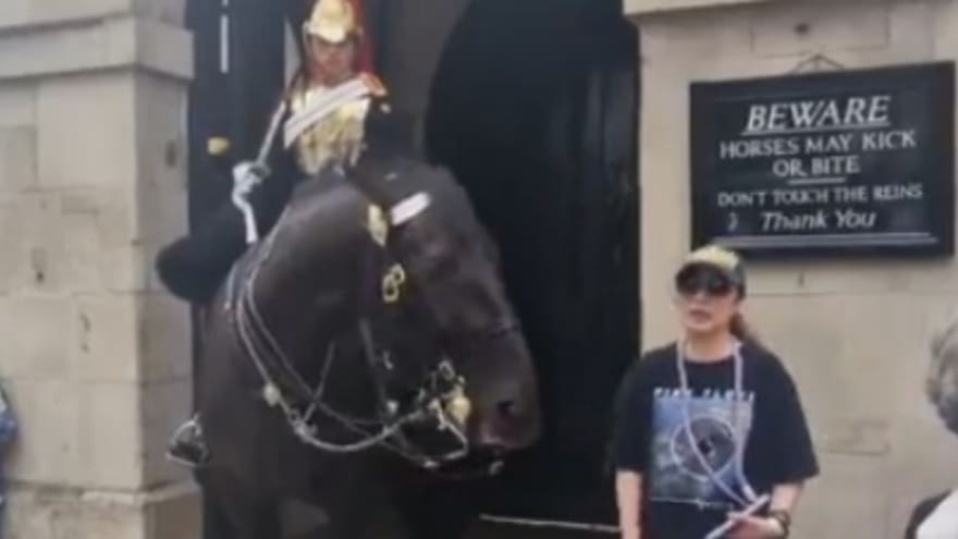 Caballo de la Guardia Real muerde a una turista mientras posaba para una foto