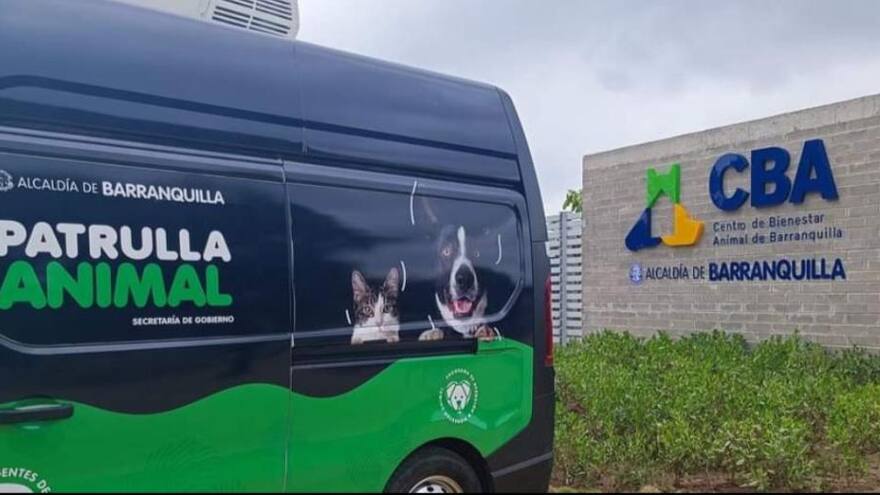 Realizarán jornada de desinfección en el Centro de Bienestar Animal