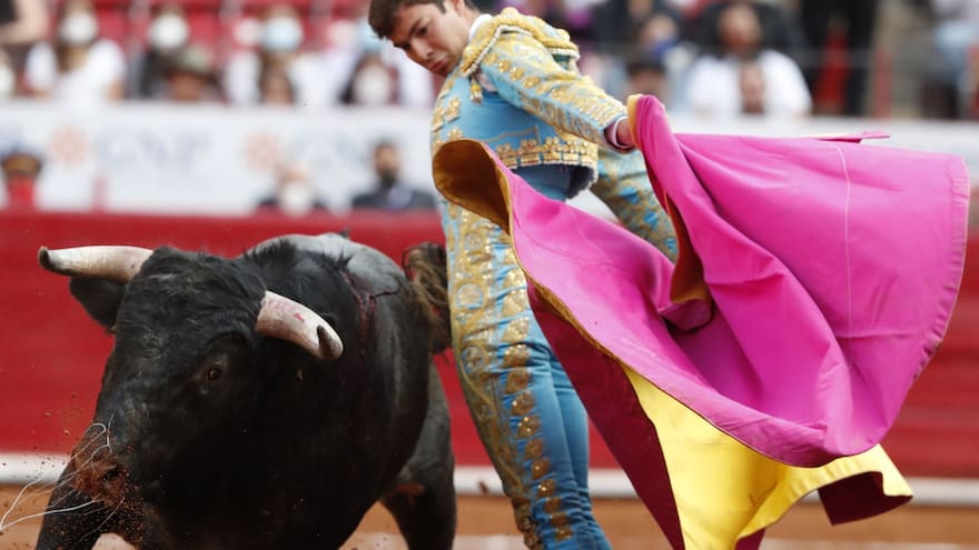 Empresario taurino afirma que 'las mujeres sangran más que los toros'