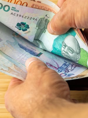 Los subsidios en entredicho