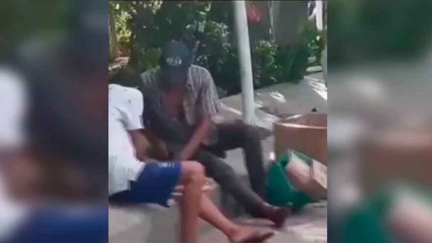 Alcaldía de Santa Marta exhorta a denunciar el maltrato contra animales