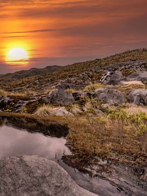 Lo que vale la biodiversidad