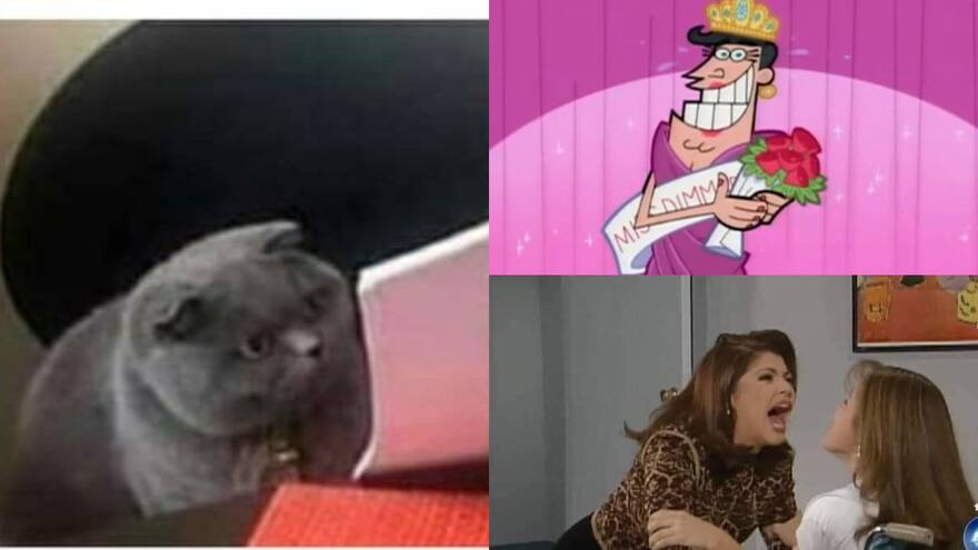 Estos son los mejores memes de Miss Universo