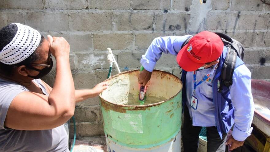 Recomendaciones para prevenir el dengue en niños en estas vacaciones