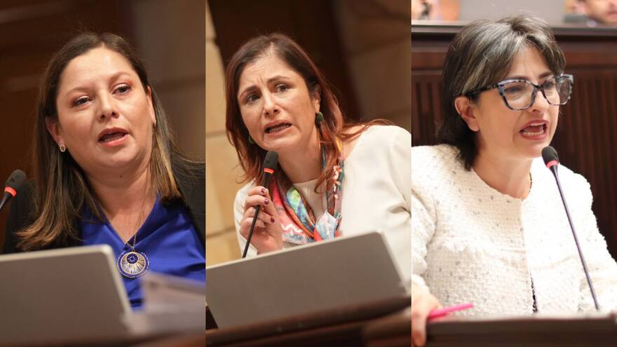 Propuestas de las candidatas a dirigir la Defensoría del Pueblo