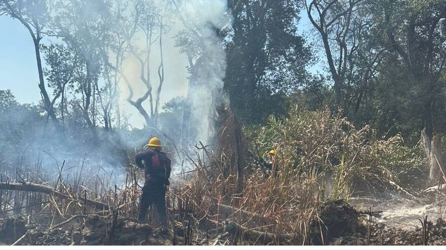 Solicitan apoyo aéreo para contener emergencia en Isla Salamanca este jueves