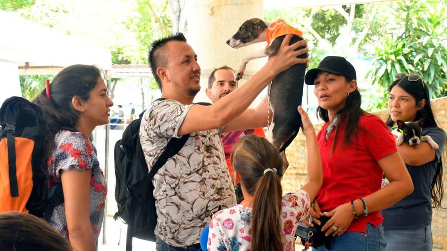 Ejército Nacional promueve feria de adopción animal en Barranquilla