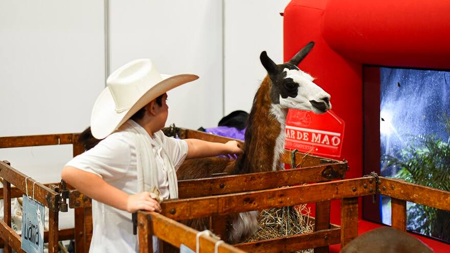 Animales para todos los gustos, plan imperdible para la familia en Agroexpo Caribe