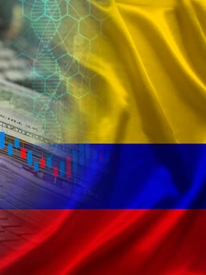 Ley de Emergencia económica