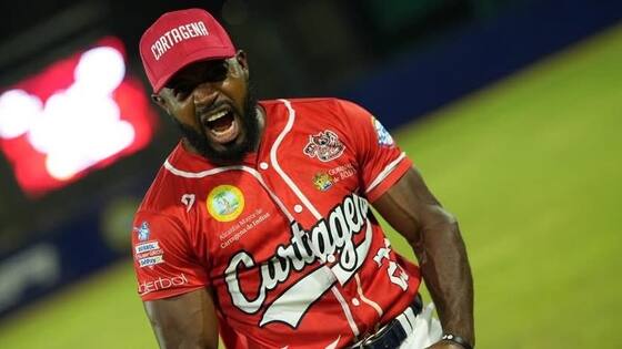 Caimanes 0, Tigres 12: Julio Teherán y sus relevos apagan la artillería del campeón