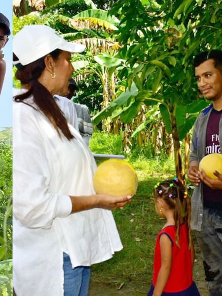 En la Mojana sucreña promueven los agronegocios hortofrutícolas