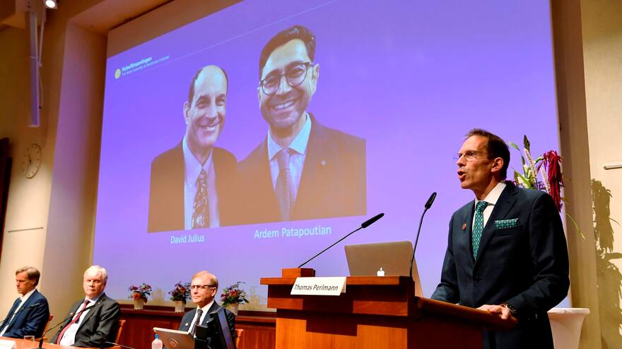 Nobel de Medicina para Julius y Patapoutian por sus hallazgos sobre el tacto