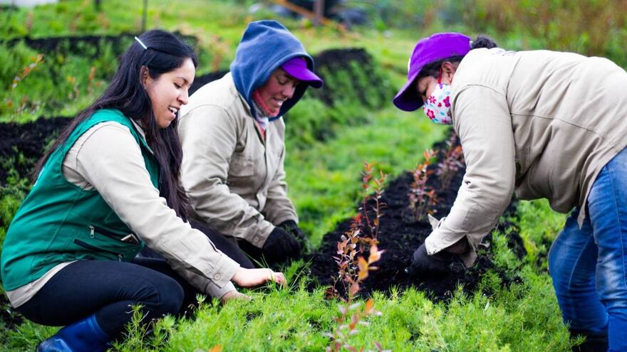 Sena abre convocatoria para emprendimientos femeninos