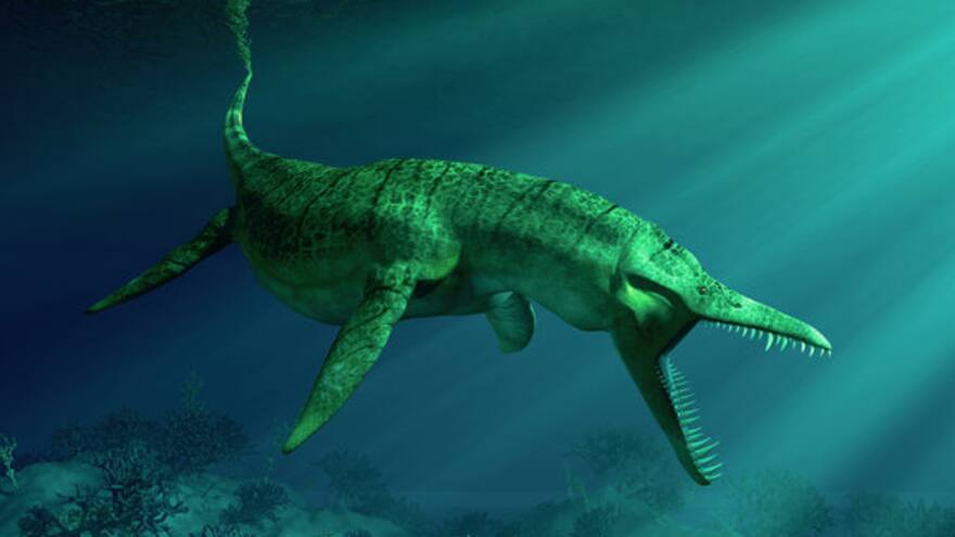 Hallan en Zapatoca, Santander, el fósil de un pliosáurido: sería el más antiguo registrado en Colombia