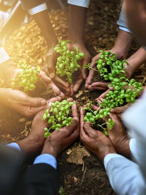 Ojo con Finagro | Columna de Indalecio Dangond