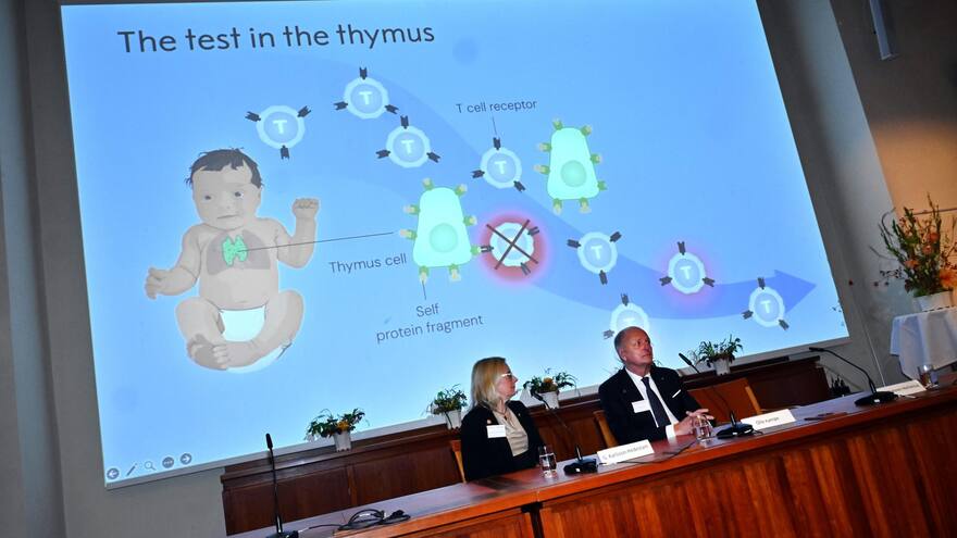 ¿Qué es la tolerancia inmunológica periférica que ha justificado el Premio Nobel de Medicina?