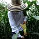 Latinoamérica y Caribe intensifican el fomento de la agricultura familiar