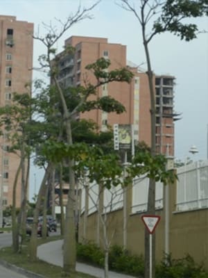 El potencial que sí existe