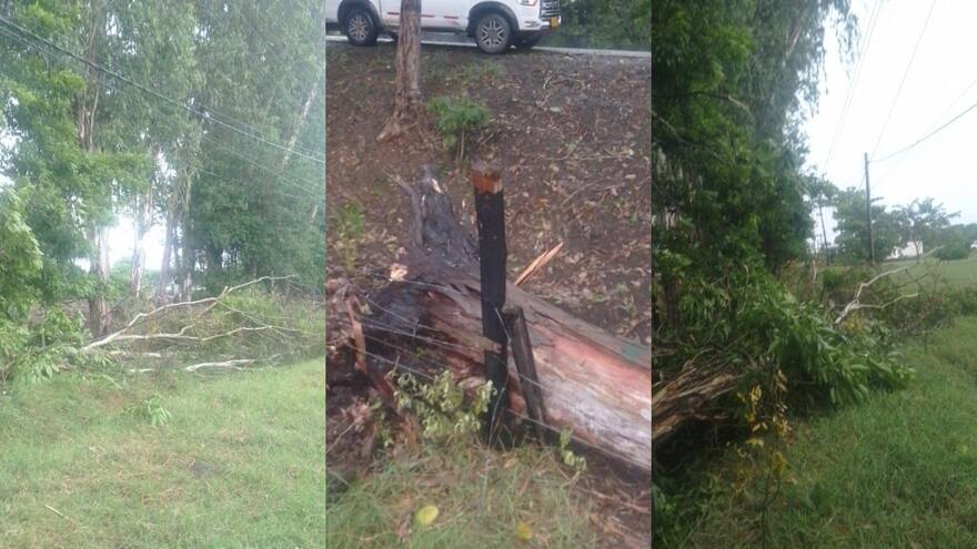 Vendaval deja sin energía a 16 municipios de Córdoba