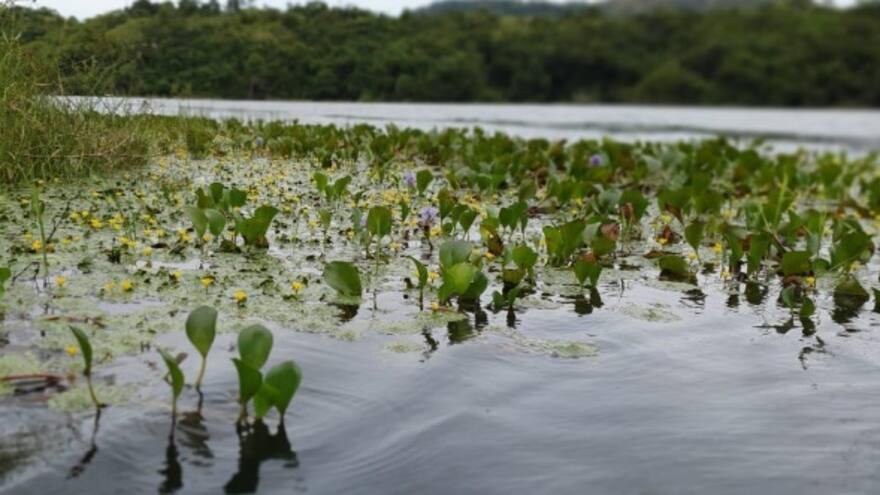 La Mojana será el próximo destino turístico de Sucre