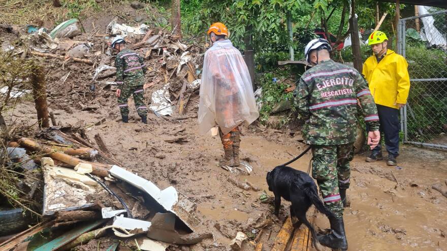 Canino del Ejército, clave en labores de búsqueda tras deslizamiento