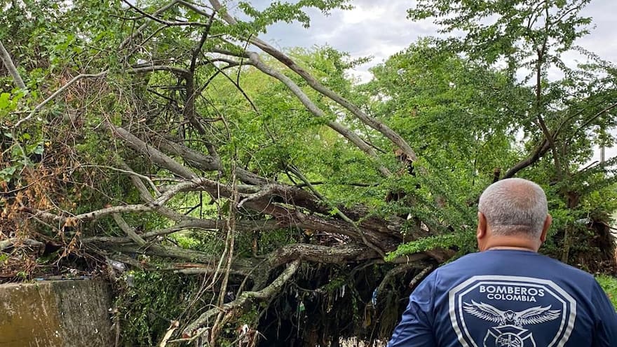 Autoridades de Sincelejo instan a tomar medidas por la temporada de lluvias