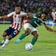 Junior 1, Palmeiras 1: un punto digno y valioso