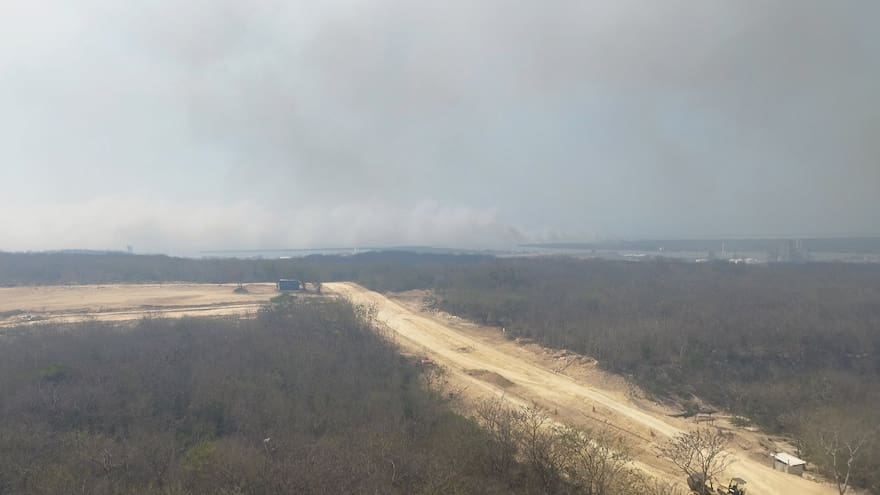 Apagan incendios en Parque Isla Salamanca e Isla 1972 en el Magdalena