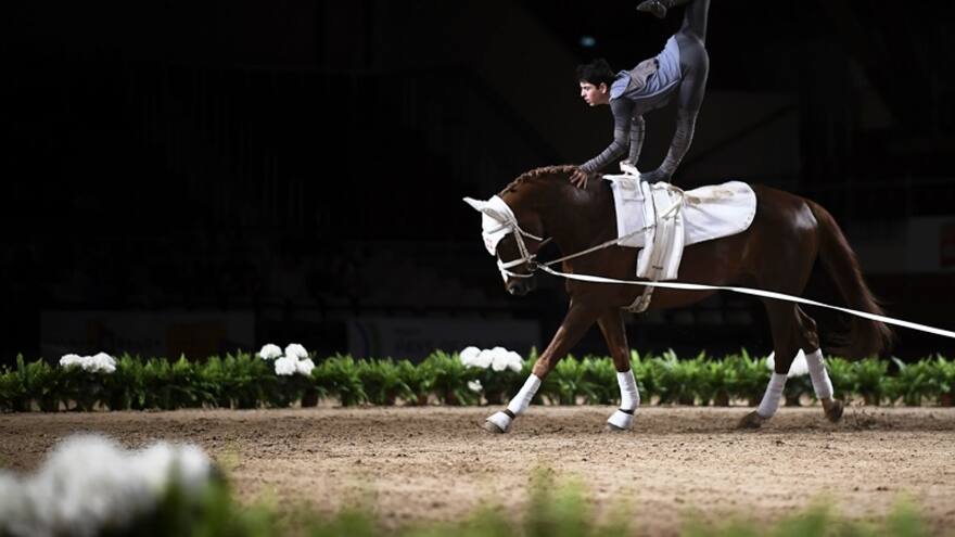 Juan Martín Clavijo, el colombiano que se coronó campeón mundial de volteo