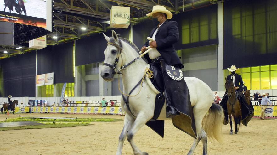 Sector equino: una actividad que galopa en la economía del país