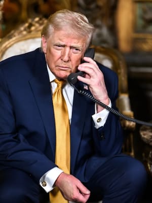 El cachorrito arrodillado