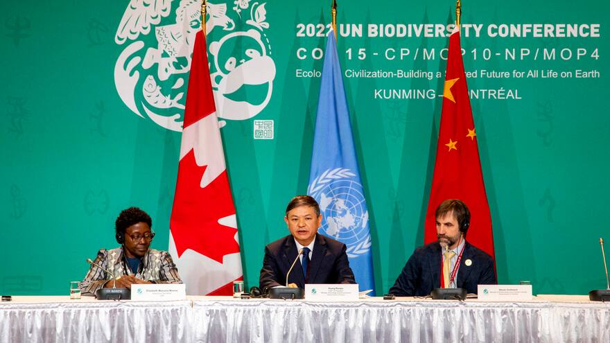COP15 acuerda proteger al menos 30% del planeta para preservar biodiversidad