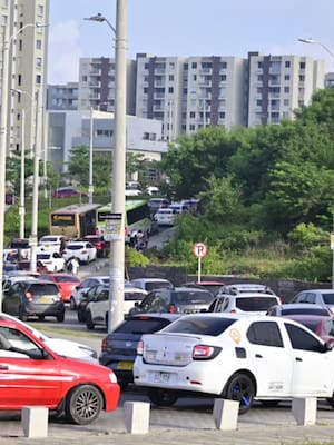 Alameda del Río y las “ciudades esponja”