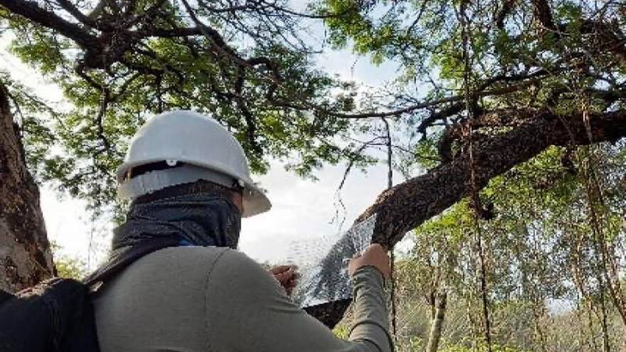 Otorgan permiso forestal para la construcción de la nueva cárcel de Riohacha