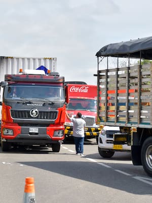 Improvisación y Desgobierno | Columna de Tatiana Dangond