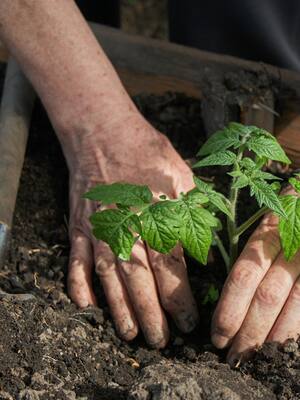 Fredy y el país que cultiva pobreza
