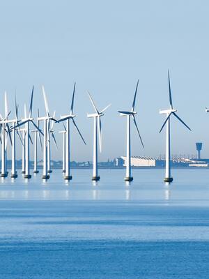 Dinamarca: ¿Oasis o espejismo en la transición?