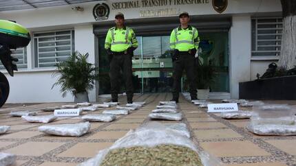 Incautan 24.000 gramos de marihuana enviados como encomienda en Barranquilla