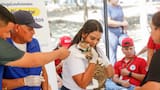 Más de 150 mascotas fueron atendidas durante nueva jornada de protección animal en Soledad