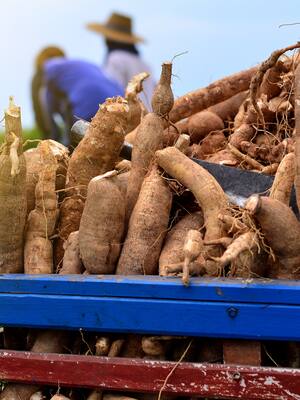 Un triste testimonio | Columna de Indalecio Dangond