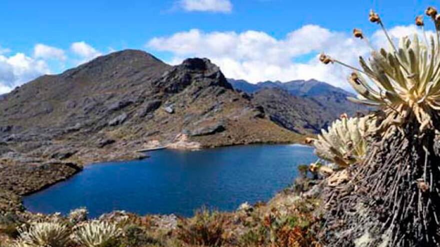 Procuraduría tiene competencia en protección del Páramo de Santurbán