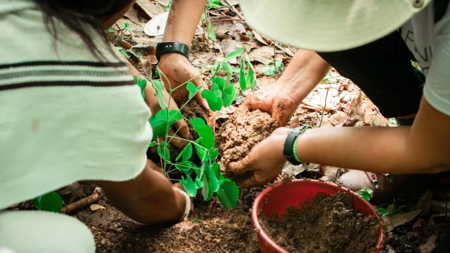 Lanzan convocatoria para financiar proyectos climáticos en el país