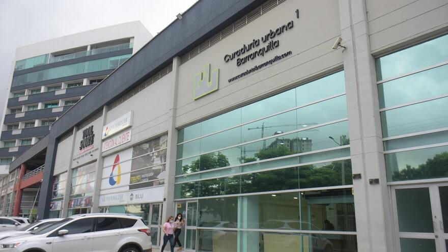 Tutelas y recursos para frenar la posesión de nuevo curador