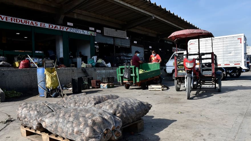 Precio de la papa se mantendría en alza hasta julio del presente año