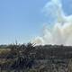 Quemas en isla Salamanca piden acciones a nivel nacional