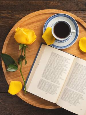 En un verso, la vida | columna de Orlando Araújo F.