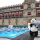 La insólita protesta de 30 vaquitas marinas en plaza de México