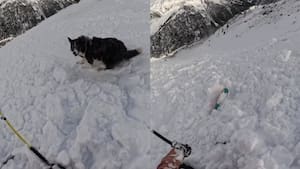 Video: esquiadora provocó avalancha y quedó atrapada con su mascota