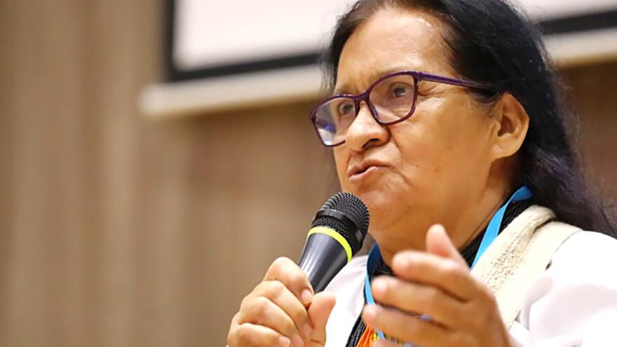 'Esta designación es para que el mundo sepa que existimos los indígenas'