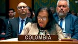 Ningún Estado tiene el derecho de atacar a otro para un cambio de régimen: Colombia en Consejo de Seguridad ONU